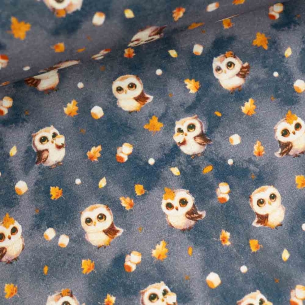 Alpensweat kleine Eule jeansblau