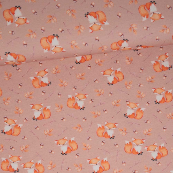 Baumwolljersey Digital Fuchs apricot