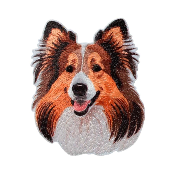 Applikation Collie Hund