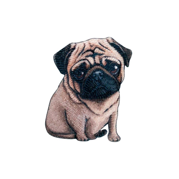 Applikation Hund Mops