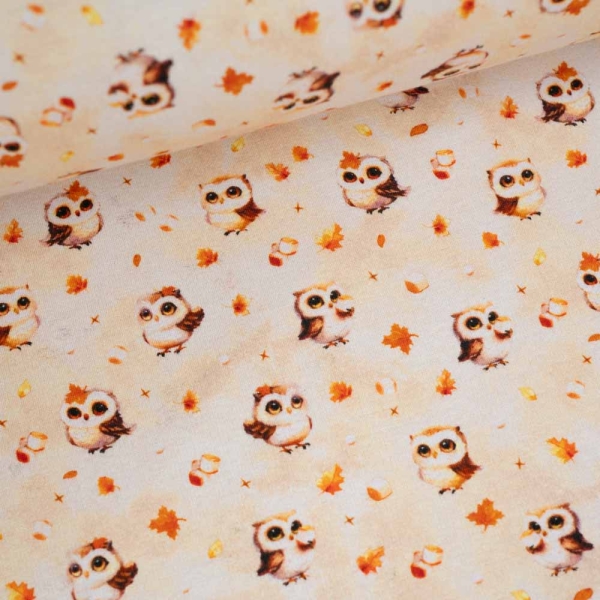 Alpensweat kleine Eule hellbeige