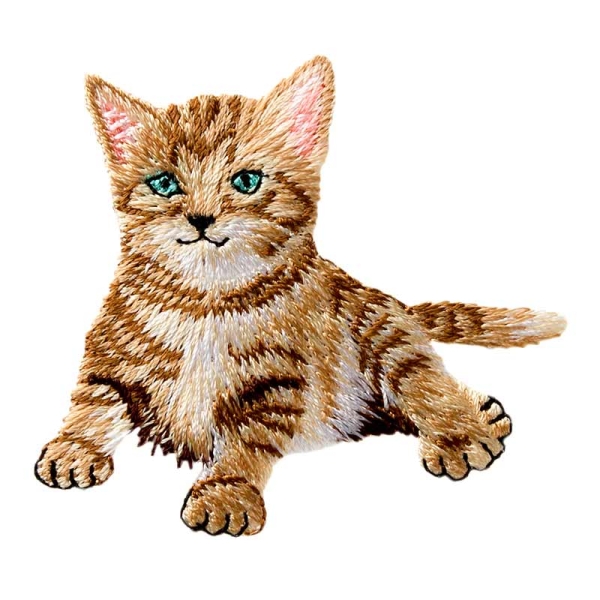 Applikation Babykatze