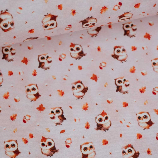 Alpensweat kleine Eule altrosa hell