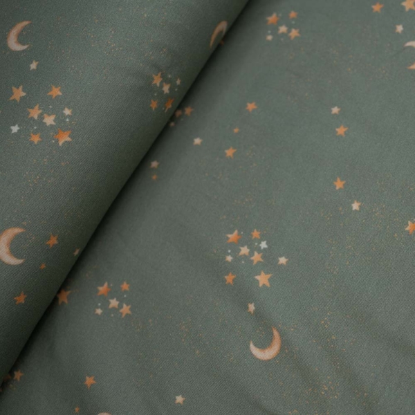 Baumwolljersey Sternchen dusty mint